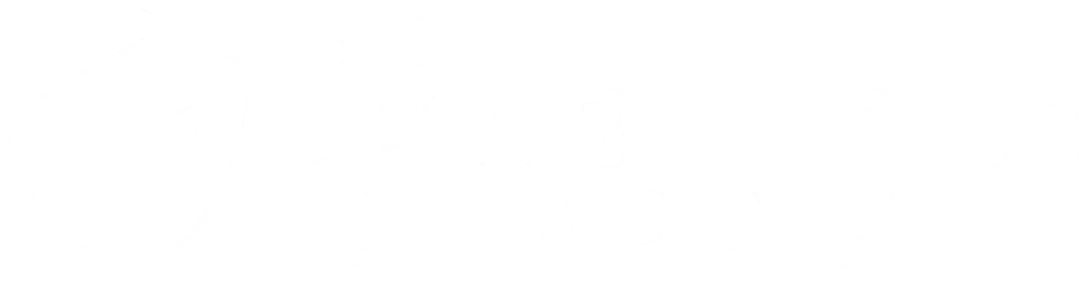 SEGA Football Club Champions